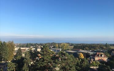 Wohnung 2 Zimmer - image - 1