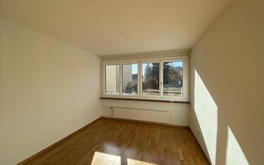 Appartement 4 pièces - image - 7