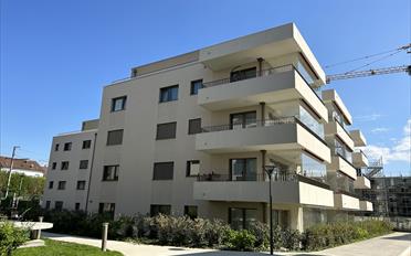 Wohnung 4.5 Zimmer - image - 1