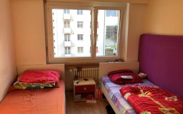 Wohnung 4.5 Zimmer - image - 5