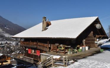 Chalet 4.5 Zimmer - image - 1