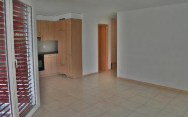 Wohnung 4 Zimmer - image - 3