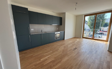 Wohnung 2.5 Zimmer - image - 3