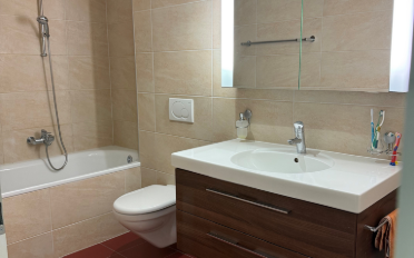 Apartment 3.5 rooms - image - 7