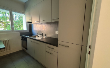 Wohnung 1.5 Zimmer - image - 3