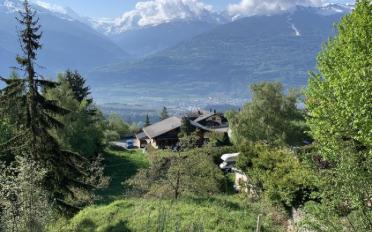 Bauland - image - 1