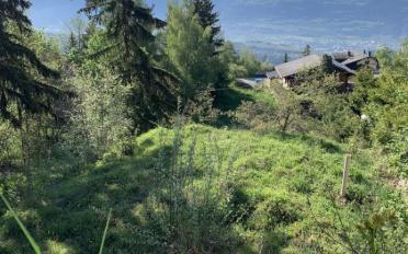 Bauland - image - 3