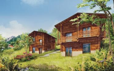 Chalet 3.5 rooms - image - 2