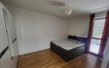 Doppeleinfamilienhaus 5 Zimmer - image - 5