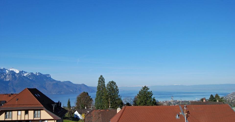 Combles avec cachet et vue lac