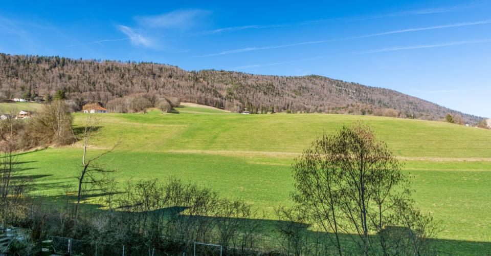 Moutier
