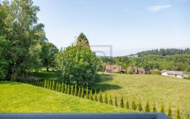 Single house - image - 6