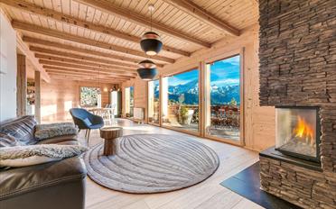 Chalet 9.5 pièces - image - 6