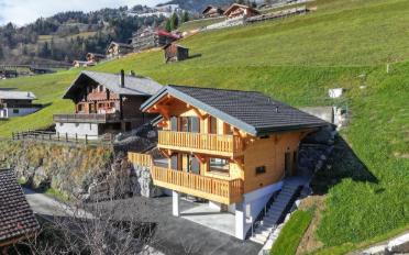 Chalet 4.5 Zimmer - image - 2