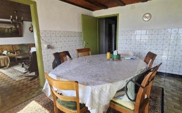 Villa 7 Zimmer - image - 6