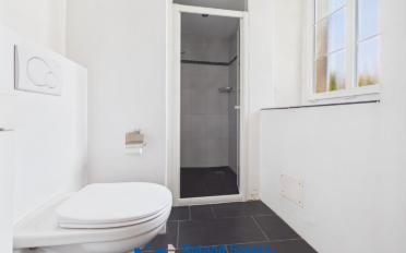 Wohnung 2.5 Zimmer - image - 6