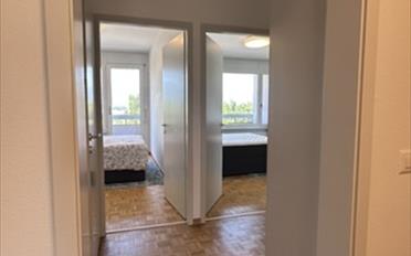Single room 1 room - image - 11