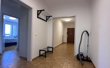 Single room 1 room - image - 13