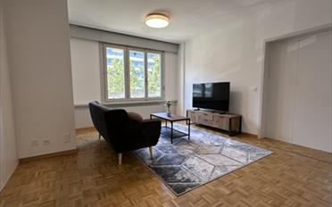 Single room 1 room - image - 16