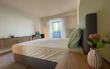 Single room 1 room - image - 7