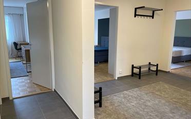 Single room 1 room - image - 12