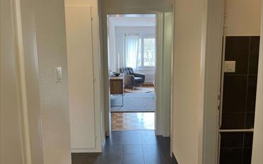 Single room 1 room - image - 16
