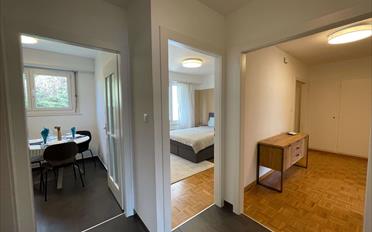 Single room 1 room - image - 23
