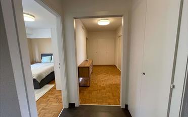Single room 1 room - image - 24