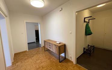 Single room 1 room - image - 25