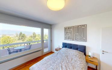 Single room 1 room - image - 4