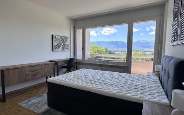 Single room 1 room - image - 7