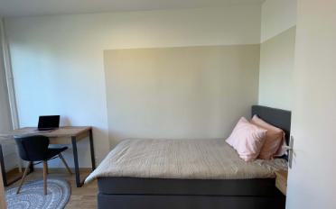 Single room 1 room - image - 6