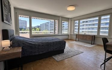 Chambre 1 pièce - image - 2