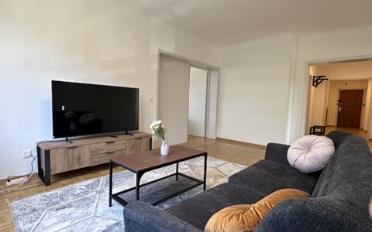 Chambre 1 pièce - image - 27