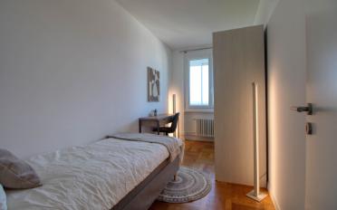Single room 1 room - image - 3