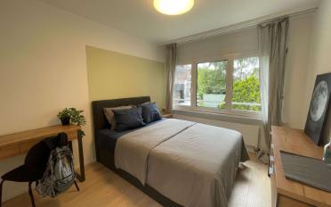 Chambre 1 pièce - image - 1