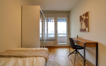 Single room 1 room - image - 4