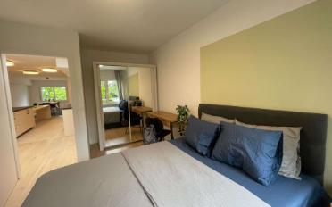 Single room 1 room - image - 2