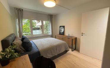 Single room 1 room - image - 4
