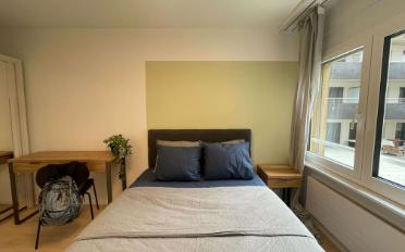 Single room 1 room - image - 5