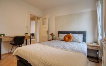 Chambre 1 pièce - image - 1