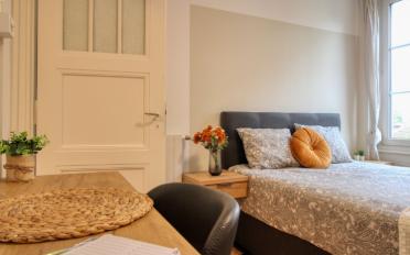 Chambre 1 pièce - image - 4
