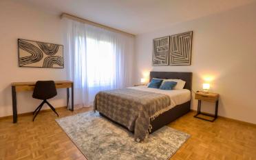 Single room 1 room - image - 2