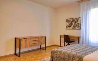 Single room 1 room - image - 6