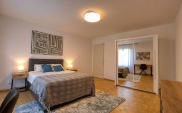 Single room 1 room - image - 8
