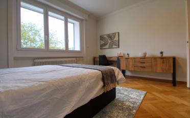 Single room 1 room - image - 4