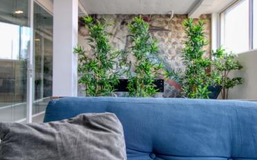 Einzelzimmer ein Zimmer - image - 12