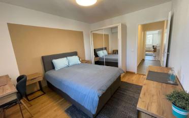 Single room 1 room - image - 1