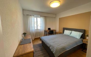Single room 1 room - image - 2