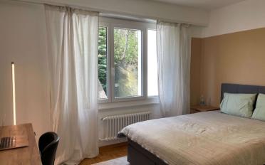 Chambre 1 pièce - image - 8